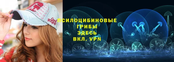 гашик Куйбышев